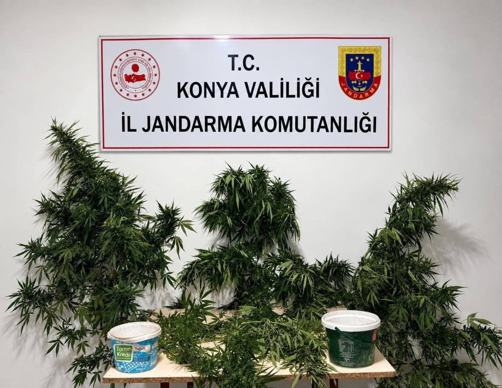 Konya'da Jandarma Operasyonları: Çok Sayıda Tutuklama