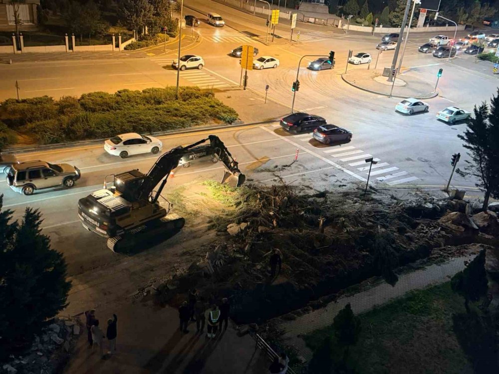 Ankara'da Gece Yarısı Ağaç Kesimi İddiası Mahalleliyi İsyan Ettirdi