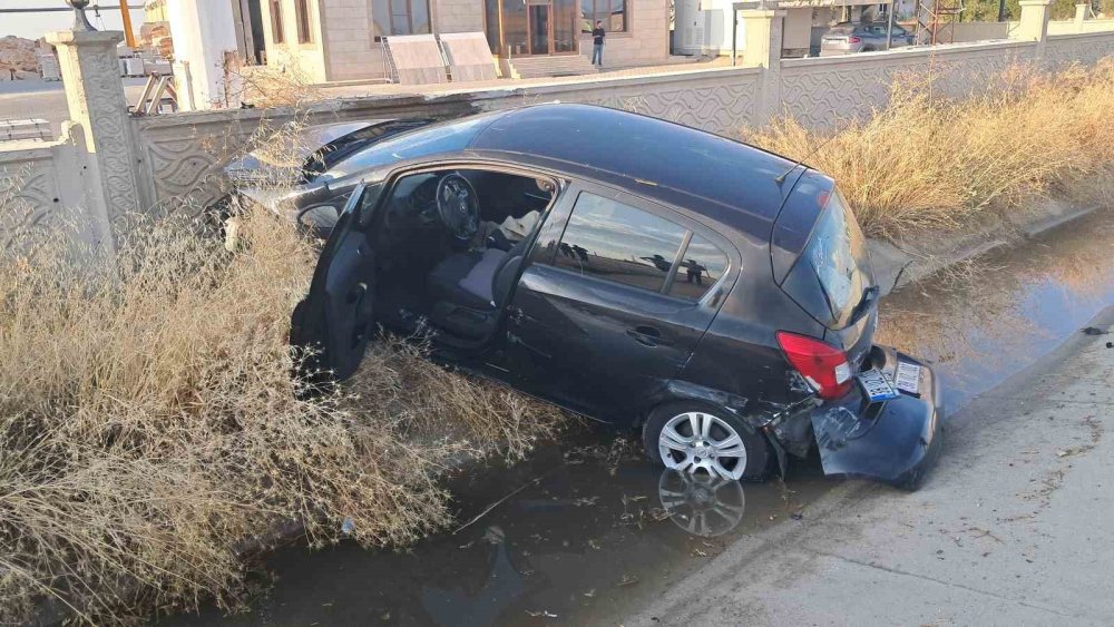 Sahipsiz köpek sorunu bir türlü bitmiyor! Az kalsın canından oluyordu