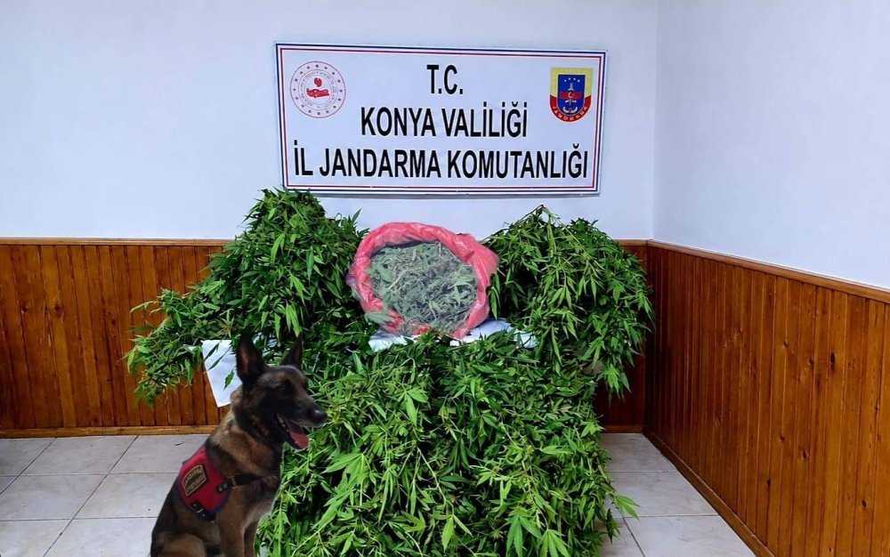 Depoya Şafak Baskını: Çok Sayıda Uyuşturucu Ele Geçirildi