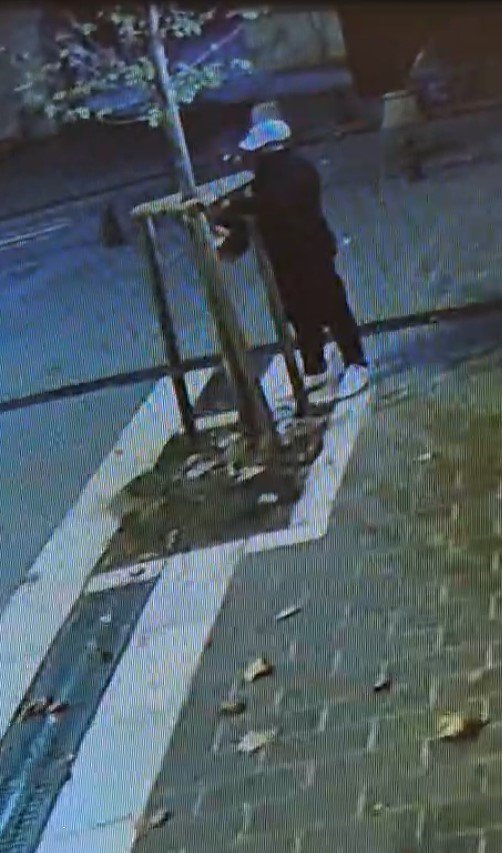 Dükkanın önünü kapatıyor diyerek ağacı testereyle kestiler