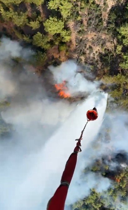 Antalya Santral Mahallesi'nde Orman Yangını