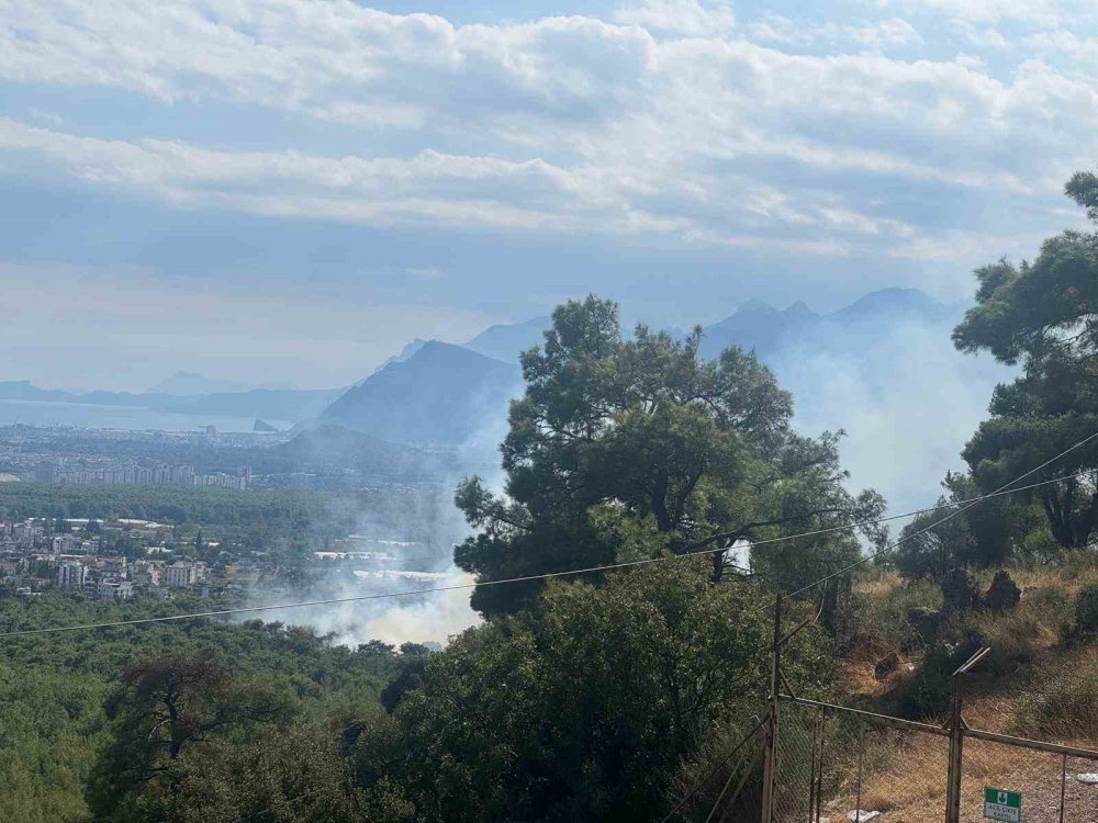 Antalya Santral Mahallesi'nde Orman Yangını