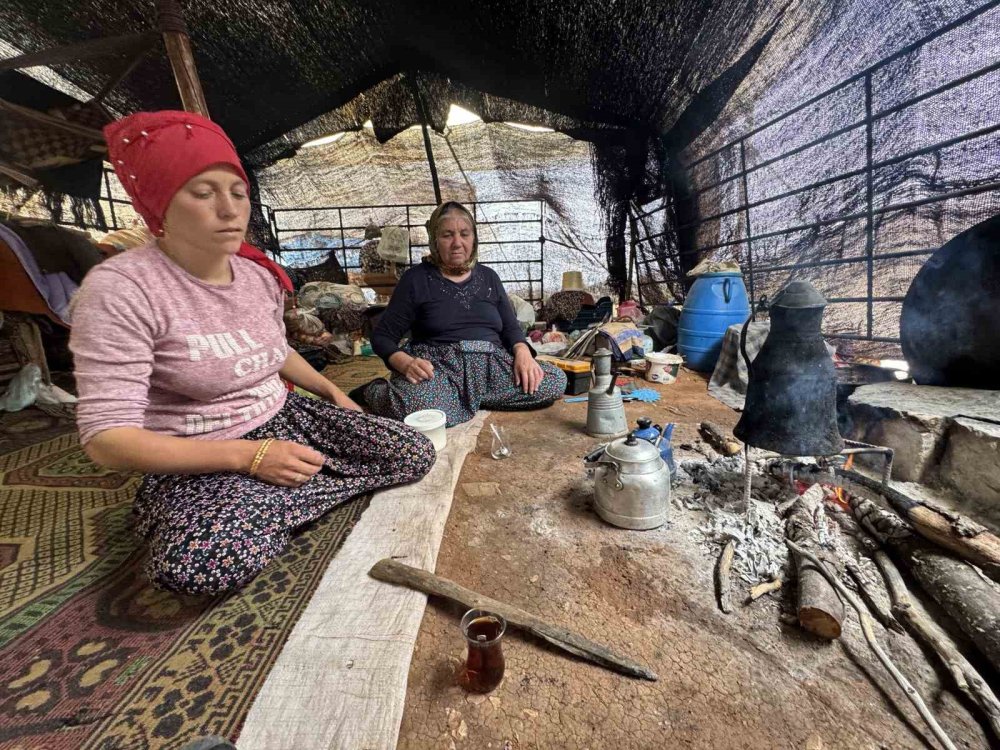 100 yıldır develeriyle Konya'da yazı geçirip geri dönüyorlar