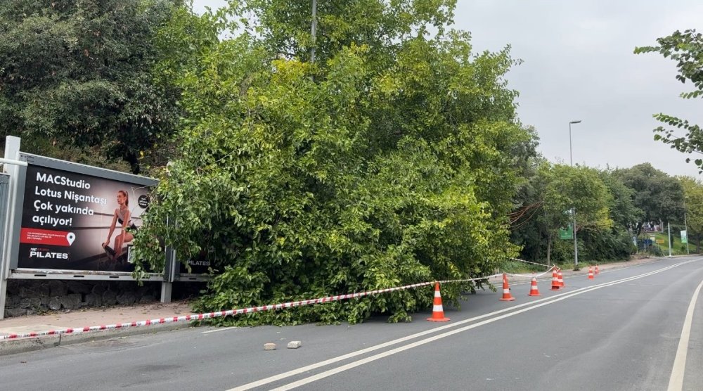Yağış sonrası ağaçlar devrildi, rögarlar taştı