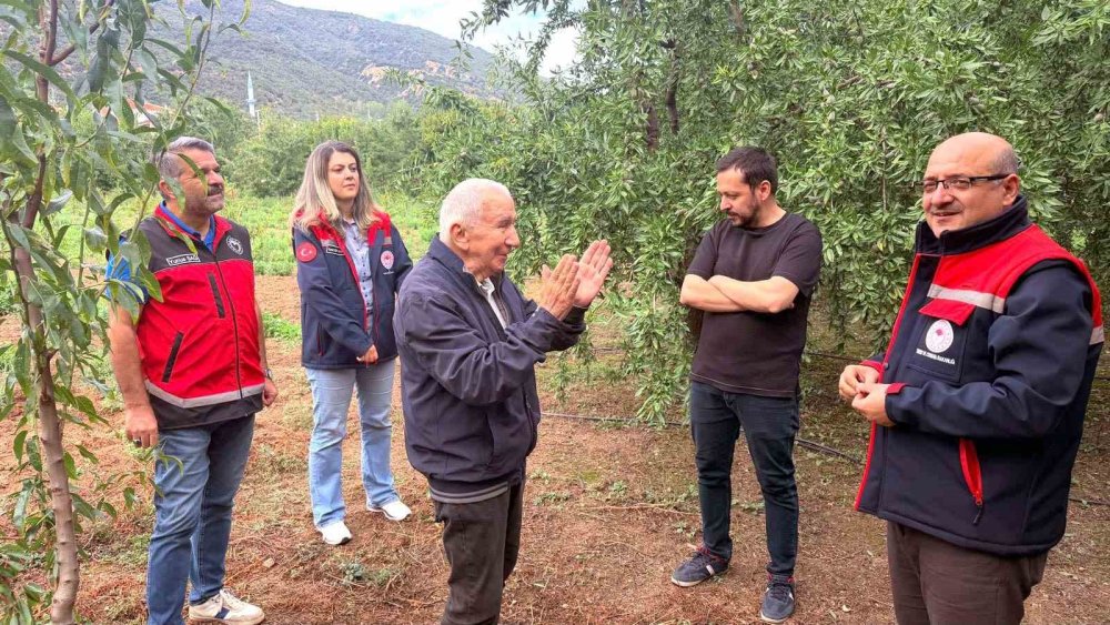 Konyalı Kiraz Üreticisi Alternatif Ürüne Yöneldi: Kirazın Yerini Badem Alıyor