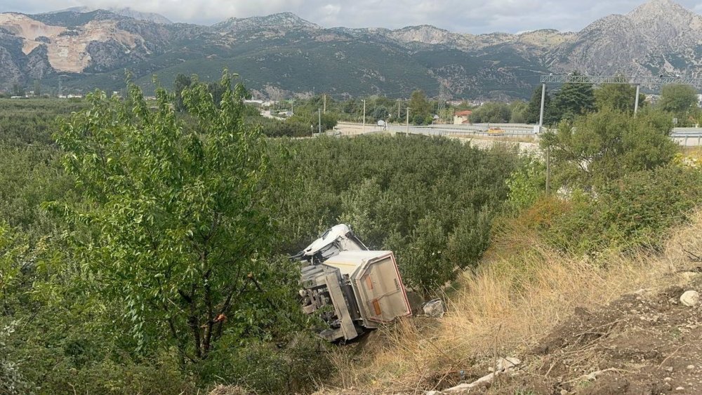 Kum yüklü tır elma bahçesine devrildi, sürücü hayatını kaybetti