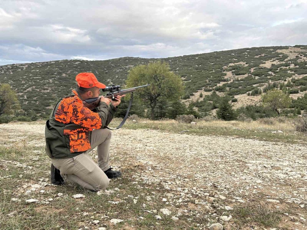 Çiftçileri canından bezdiren yaban domuzlarına operasyon