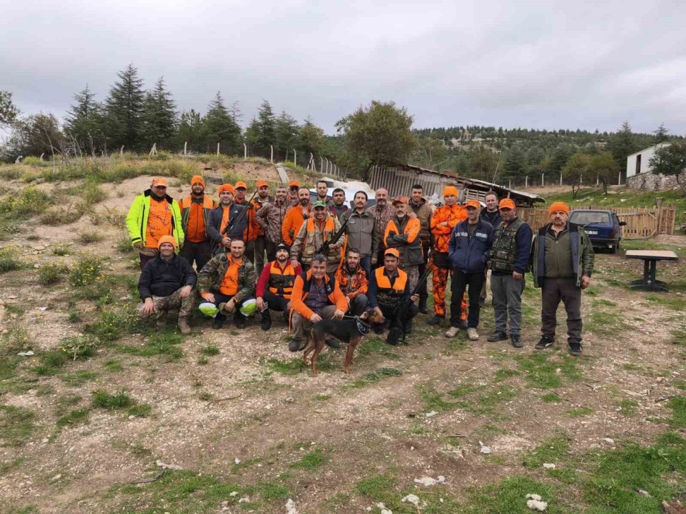 Çiftçileri canından bezdiren yaban domuzlarına operasyon