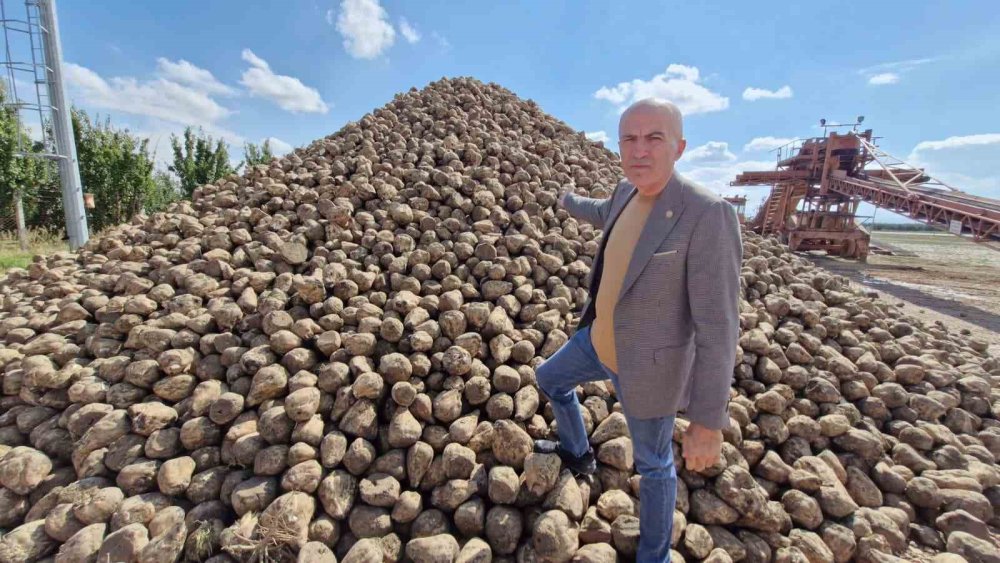 Şeker pancarı alım kampanyası başladı