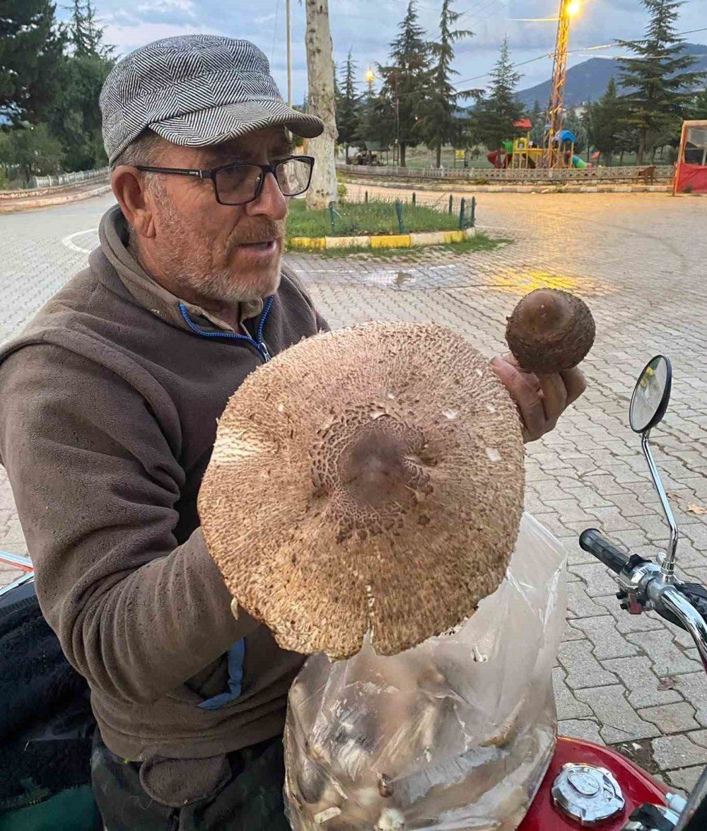 Yağmur Yağdı, Beyşehir'de Dev Mantar Fışkırdı