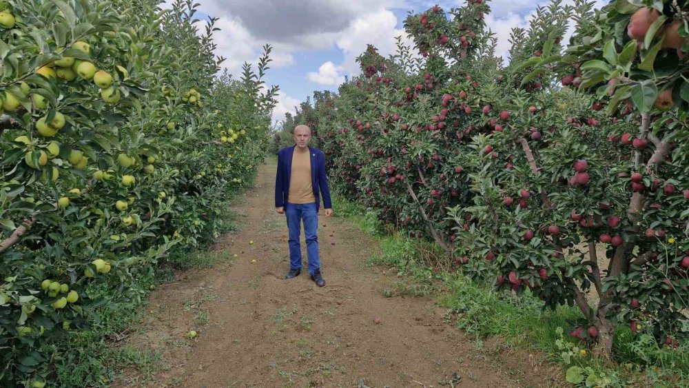 Elmanın Fiyatı 3 TL'ye Kadar Düştü