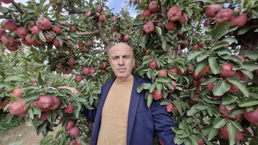 Elmanın Fiyatı 3 TL'ye Kadar Düştü