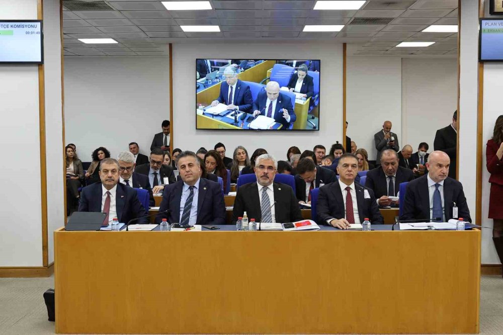 Fon düzenlemesi kabul edildi