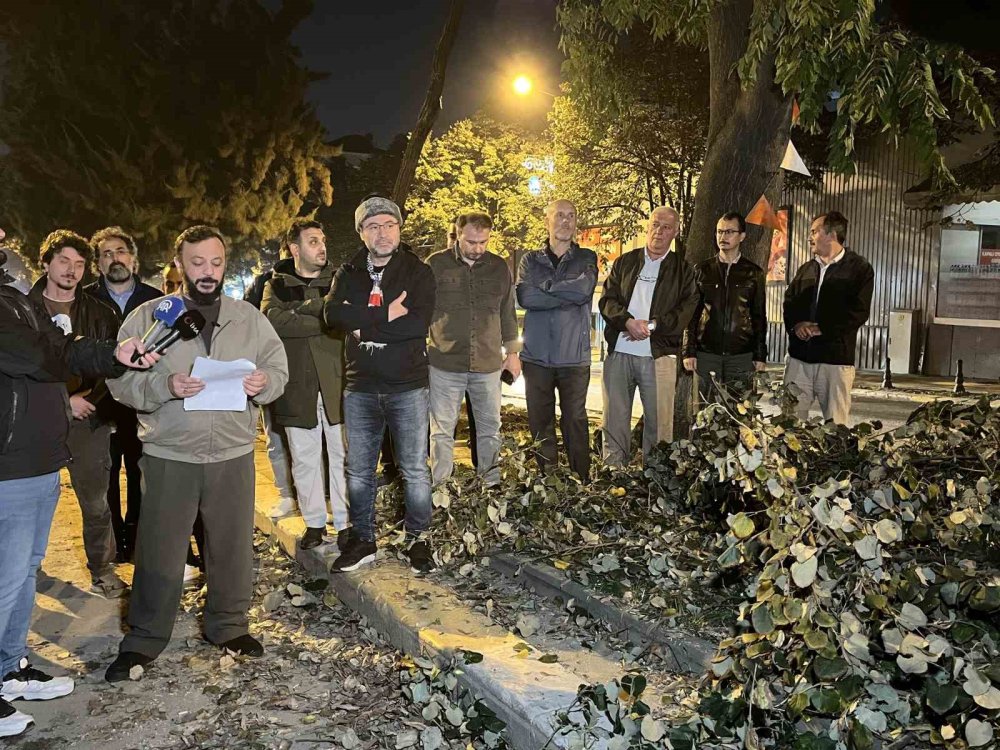 Eyüpsultanlılardan İBB’ye gece yarısı ağaç kesimi tepkisi