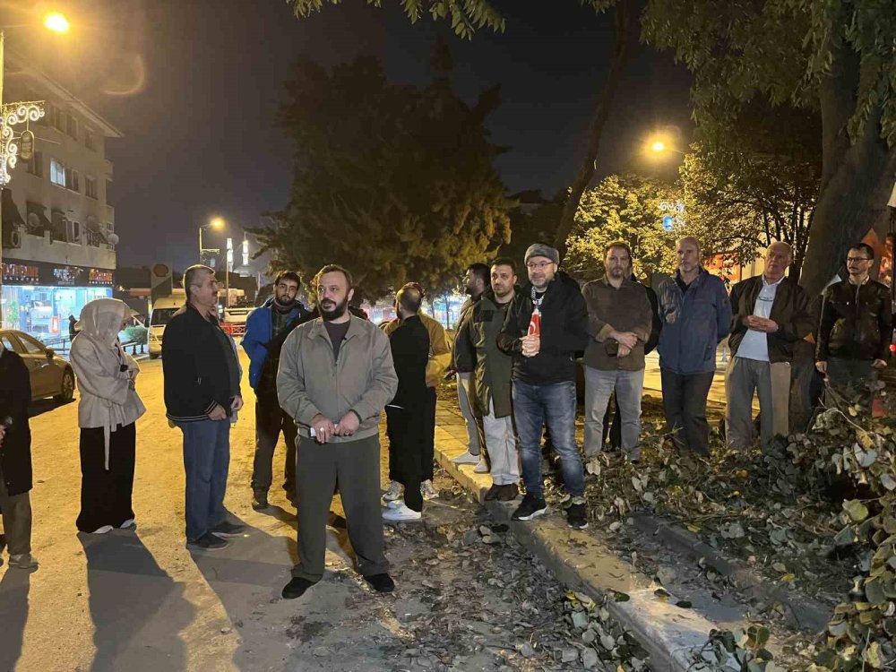 Eyüpsultanlılardan İBB’ye gece yarısı ağaç kesimi tepkisi
