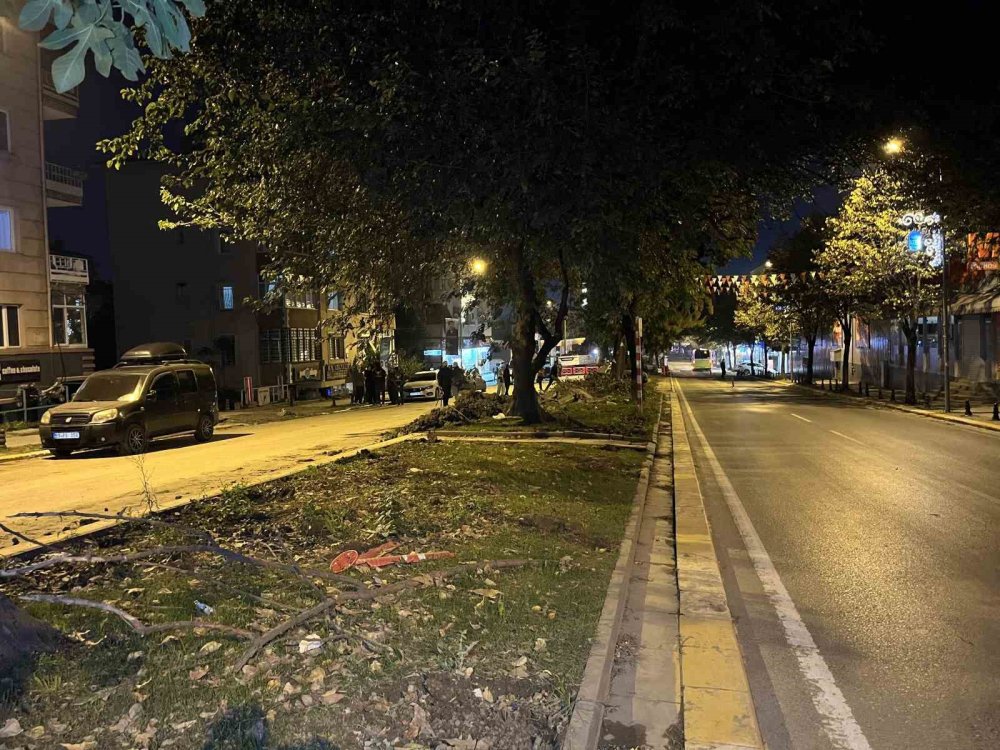 Eyüpsultanlılardan İBB’ye gece yarısı ağaç kesimi tepkisi