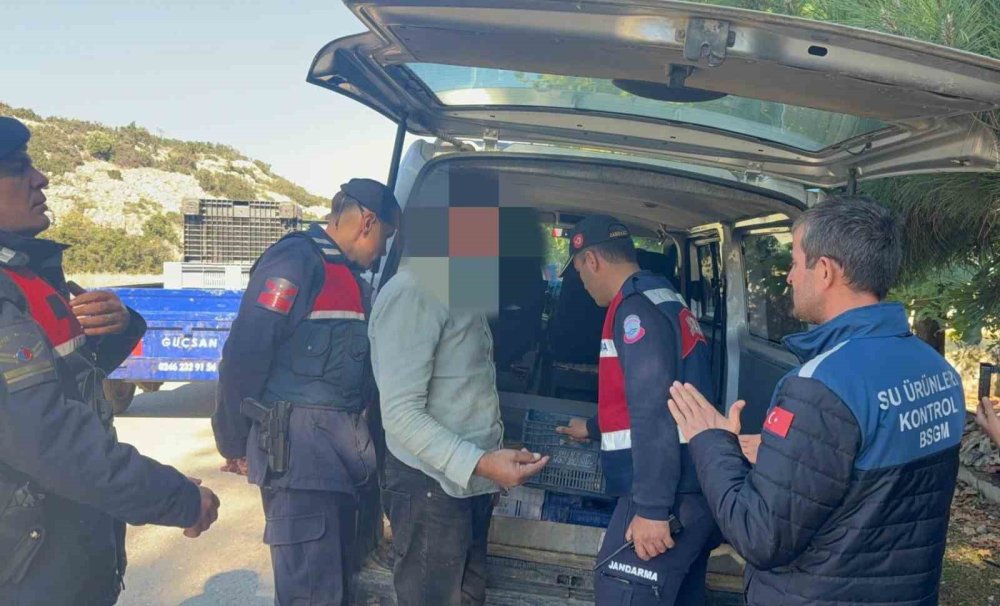 Yol denetiminde 50 kilo balık ele geçirildi