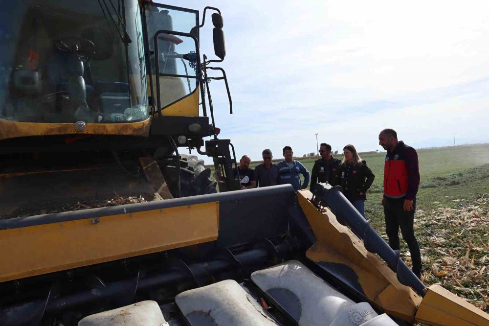 Çiftçinin Alın Teri İçin Saha Mesaisi: Karapınar'da Biçerdöverler Markajda