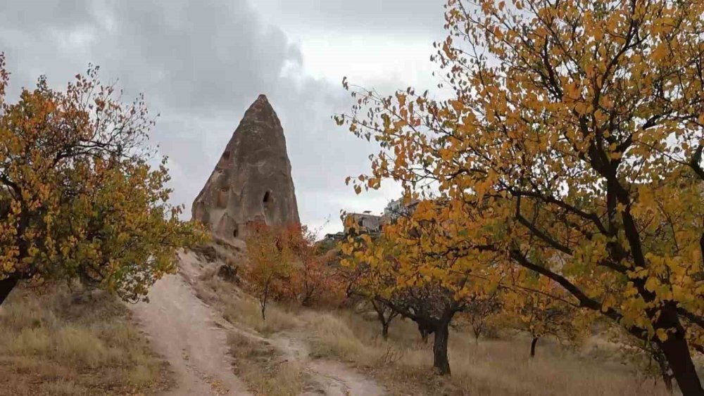 Kapadokya sarardı