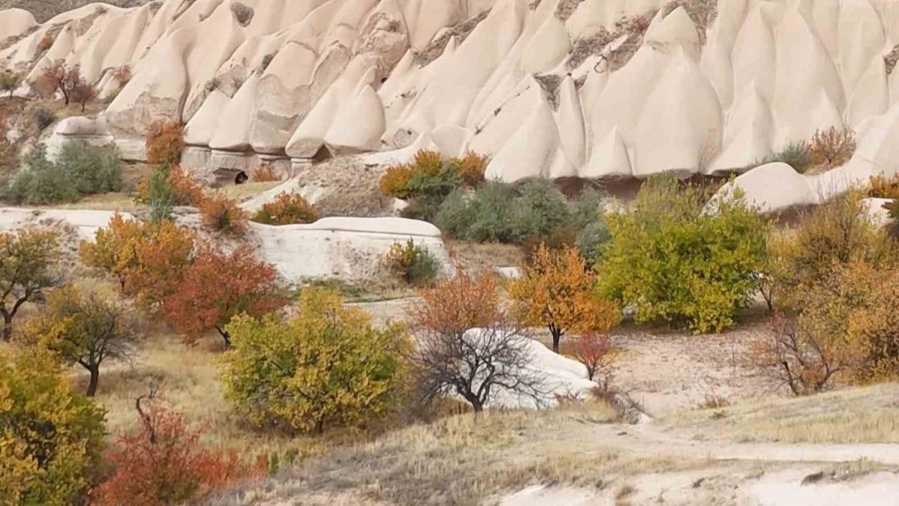Kapadokya sarardı