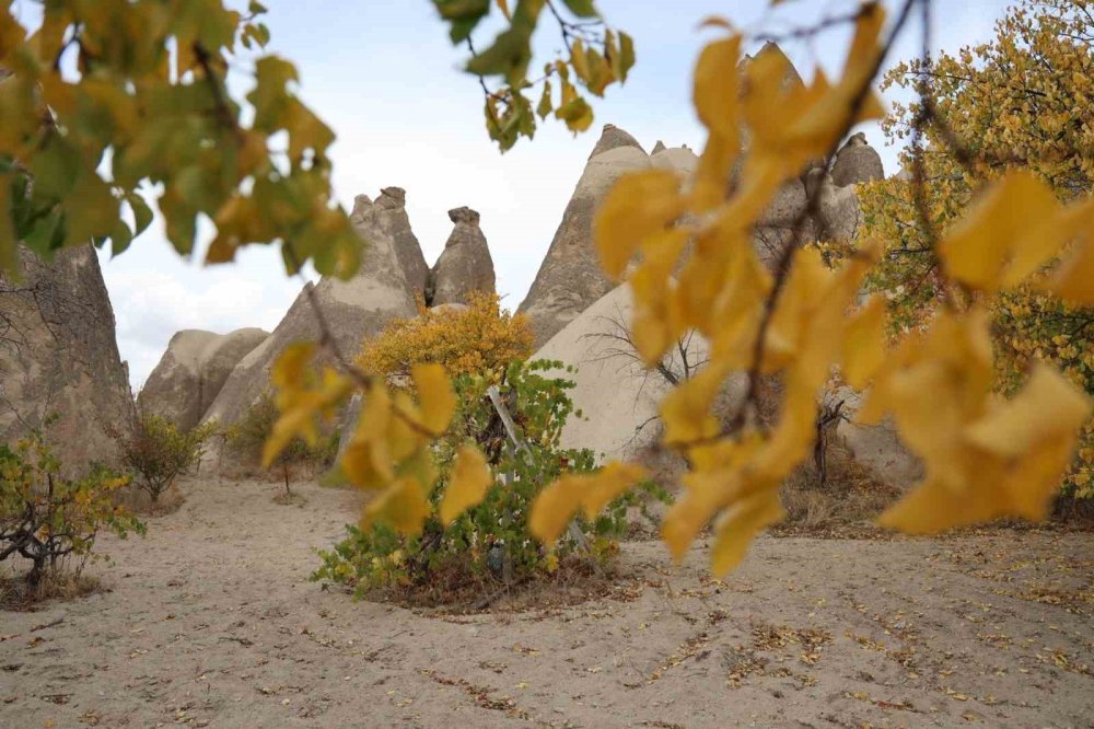 Kapadokya sarardı