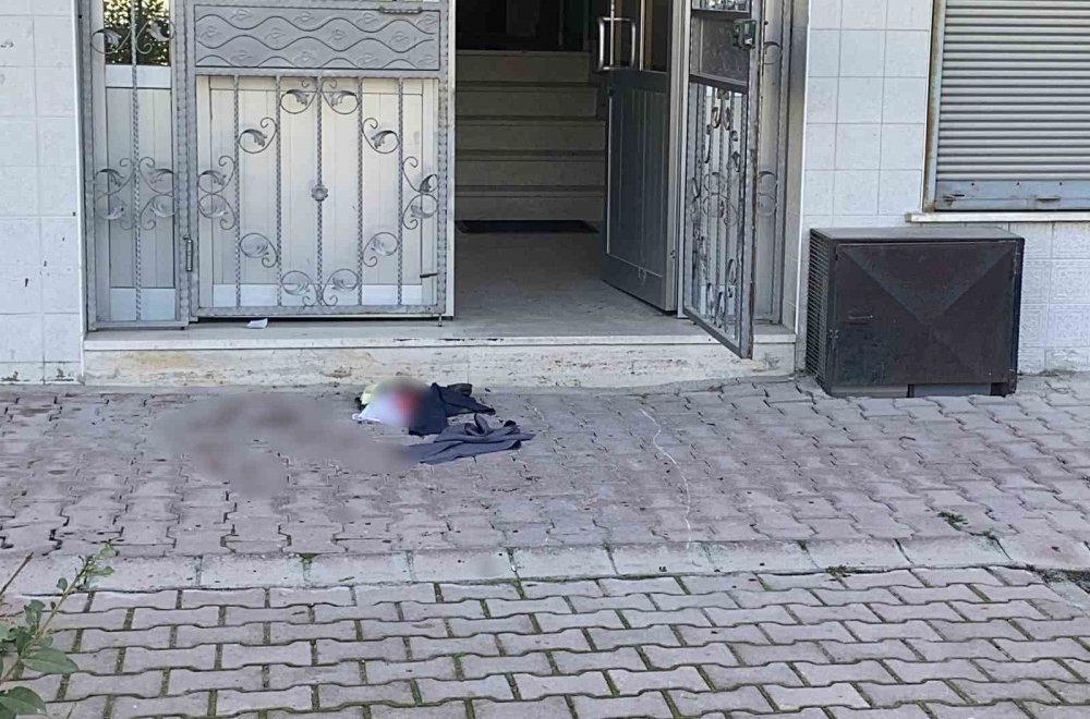 Meram’da Kedi Tüyü Tartışması Bıçaklı Kavgaya Dönüştü