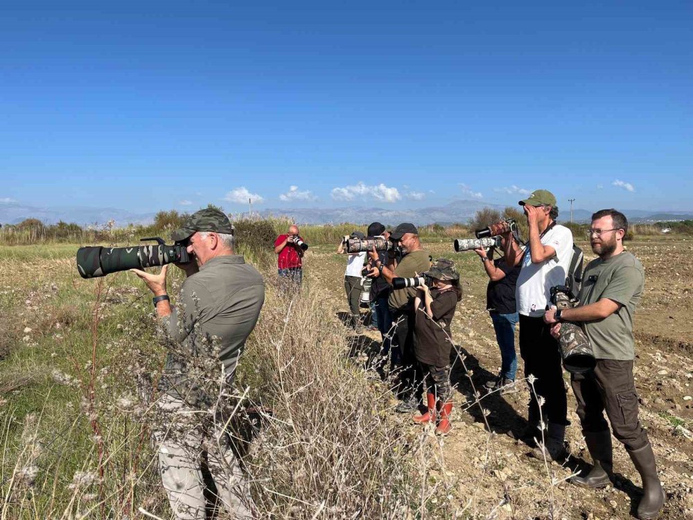 Türkiye'nin 506'ncı kuş türü Manavgat'ta görüntülendi