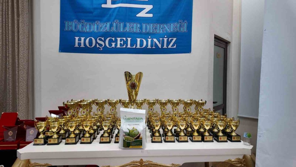 Ankara'da Kanaryalar Yarıştı