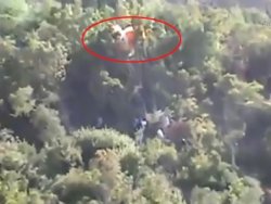 Düşen helikopterin pilotu ağaçta asılı kalmış