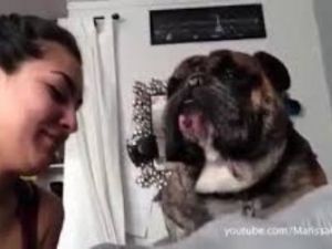 Öpülmekten Nefret Eden Kedi ve Köpekler