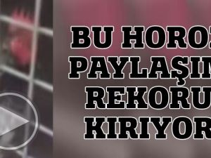 Ekmeleddin Diye Öten Horoz - Kulaklarınıza İnanamyacaksınız !!