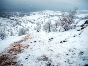 4 SUBAYIN ŞEHİT OLDUĞU UÇAK KAZASINDAN GERİYE KALANLAR