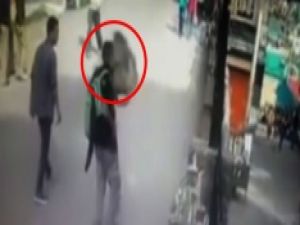 Maymuna 'el hareketi' yaptı, bedelini böyle ödedi