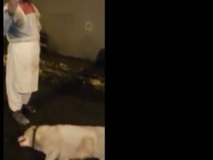 Belediye Başkanına mesaj