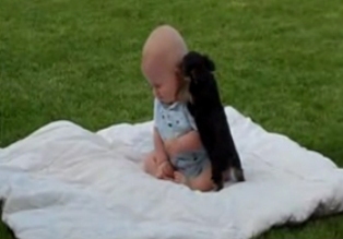 Küçük köpek bebeği tuş etti