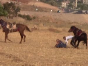 Atlar çarpıştı: Biniciler ölümden döndü!