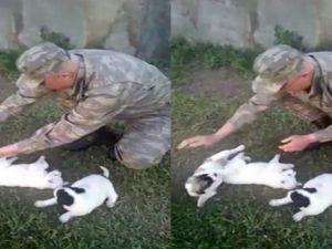 Şehit binbaşının hayvanları severken çekilen görüntüleri ortaya çıktı