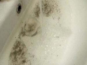 Çeşmelerden kurbağa ve solucan akıyor!