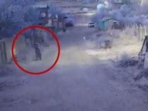 Elindeki Roketle Kendini Vuran Terörist