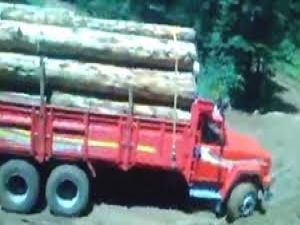 Artvinli Kamyon Şoförünün İnanılmaz Manevrası Tık Rekoru Kırıyor