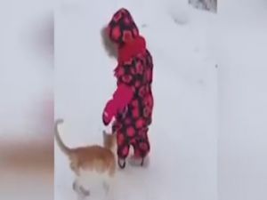Küçük çocuğu yere seren kedi!