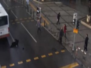 Feci kazalar böyle görüntülendi!