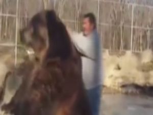 Dev ayı ile bakıcısının inanılmaz dostluğu
