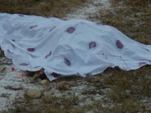 Yardıma giderken otomobilin çarpması sonucu öldü