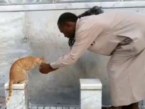 Kutsal topraklardan insanlık dersi