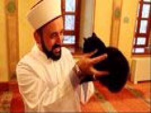 Kedi dostu imam insanların takdirini topladı