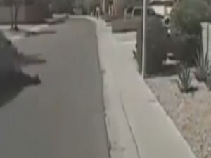 Kaza mı cinayet girişimi mi ?