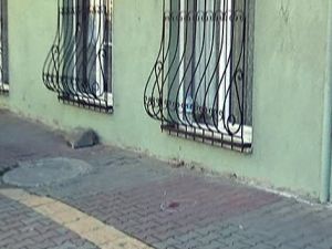 Komşusunun attığı saksı hayat kurtardı