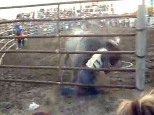 Bu oyunu hiç oynamadınız!